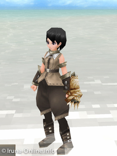 item_image_Duel Shield