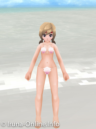 item_image_Seashells